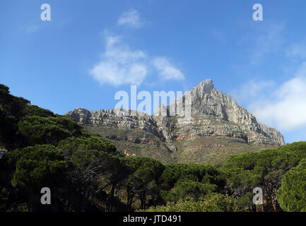 Vista di testa di leone montagna in Città del Capo Western Cape, Sud Africa. Foto Stock