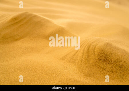 Le dune di sabbia in Damla nel mezzo del deserto del Karakum in Turkmenistan Foto Stock