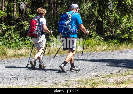 Persone in viaggio nella foresta coppia Senior Nordic Walking, Repubblica Ceca Parco Nazionale Sumava stile di vita sano escursionisti anziani Foto Stock