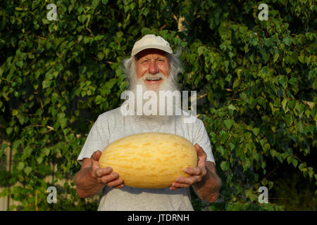 Produzione biologica di melone maturo nell'uomo le mani sul legno naturale bachground. L'agricoltore. Foto Stock