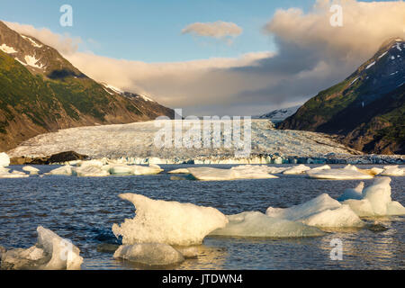 In tarda serata la luce su iceberg dal ghiacciaio Spencer nella Chugach National Forest in Alaska centromeridionale. Foto Stock