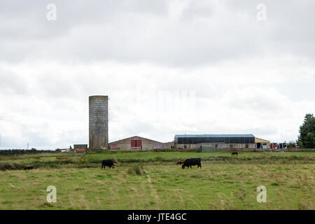 Scozia, Highlands, Scottish Landscape, Farm, mucche, Alberi, campo, Campagna rurale, Agricoltura, arbusti, Fienile, Farming, nuvoloso, Sovrappone Meteo Foto Stock