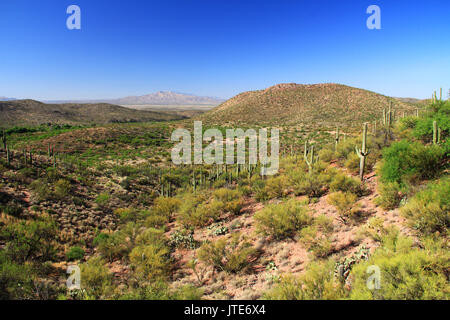 Desert mountain view come si vede dal negozio di articoli da regalo e grotta ingresso della grotta colossale Mountain Park a Vail, Arizona, Stati Uniti d'America, nei pressi di Tucson in Sonoran Des Foto Stock