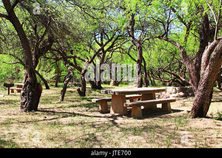 El Bosquecito area picnic in grotta colossale Mountain Park a Vail, Arizona, Stati Uniti vicino a Tucson. Foto Stock