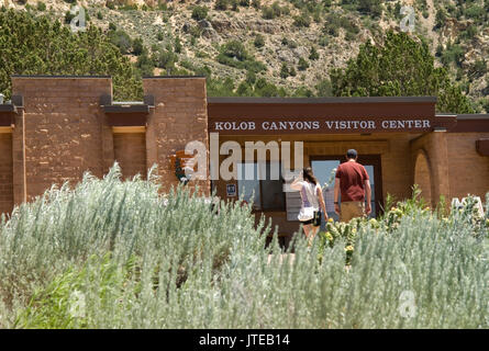 I turisti al Parco Nazionale Zion Springdale USA Utah. Foto Stock