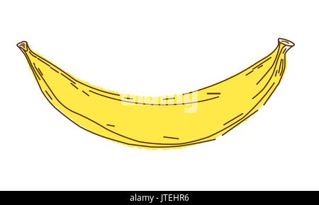 Banana illustrazione vettoriale, schizzo e doodle stile, disegnare a mano le banane Illustrazione Vettoriale