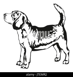 Ritratto decorativo di standing in profilo beagle, vettore illustrazione isolato in colore nero su sfondo bianco Illustrazione Vettoriale