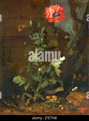 Otto Marseus van Schrieck ancora vita con semi di papavero, insetti e rettili, ca 1670 Foto Stock