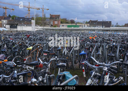 Un sacco di moto parcheggiata in Gand Foto Stock