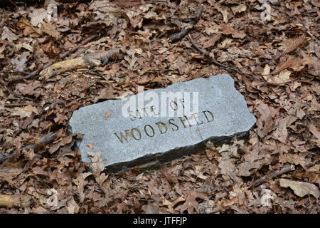 Transcendentalist Henry David Thoreau di Walden Pond e sito di cabina in concordia, Massachusetts Foto Stock