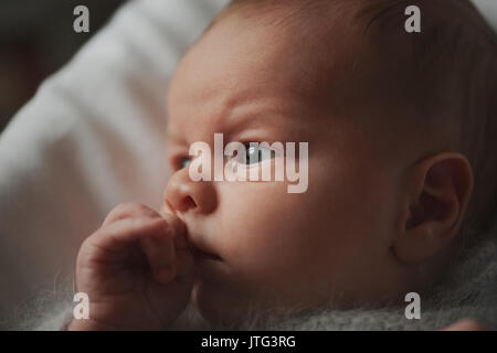 Ritratto di piccolo bel ragazzo Foto Stock