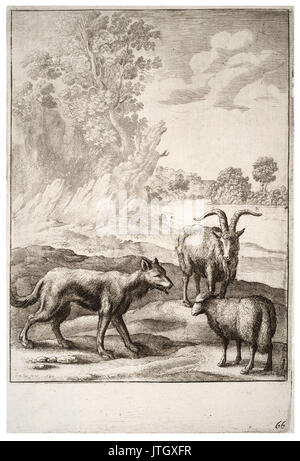 Venceslao Hollar il lupo e l'agnello (stato 2) Foto Stock