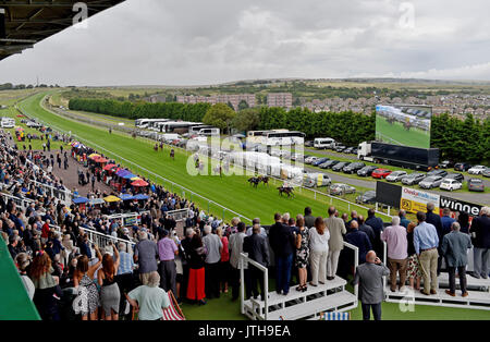 Brighton, Regno Unito. Il 9 agosto, 2017. Tojosimbre cavalcato da Martin Dwyer vince il Wainwright Vendita Styakes Handicap alla Marstons il giorno della gara in Maronthonbet festival di corse a Brighton Racecourse Credito: Simon Dack/Alamy Live News Foto Stock