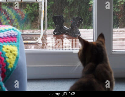Sheerness, Kent. 09 Ago, 2017. Regno Unito Meteo: un umido e giornata uggiosa con prolungati periodi di pioggia. La vista dall'interno. Credito: James Bell/Alamy Live News Foto Stock