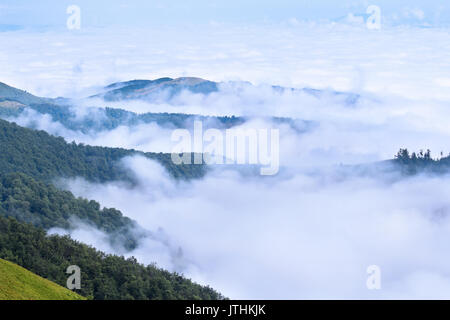 Vista aerea sulle montagne dei Carpazi coperto di nuvole Foto Stock