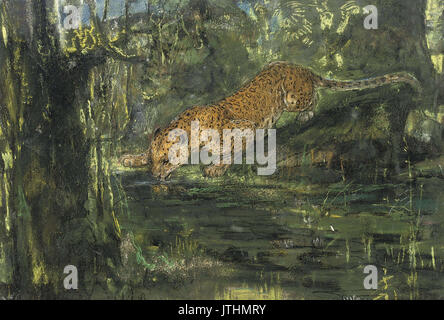 John Macallan Swan Leopard bere da un flusso Foto Stock