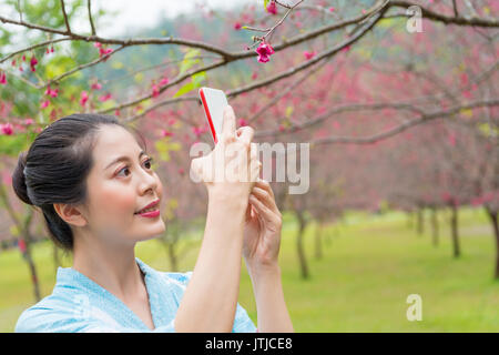 Primo piano della elegante sorridente femmina visite turistiche in giappone piena dei ciliegi in fiore giardino e indossando abiti kimono tramite telefono cellulare Foto Stock