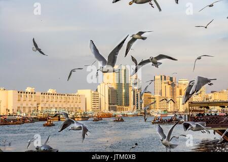 Vista del Dubai Creek con un sacco di gabbiani e barche abra al tramonto, Emirati Arabi Uniti, Emirati arabi uniti Foto Stock
