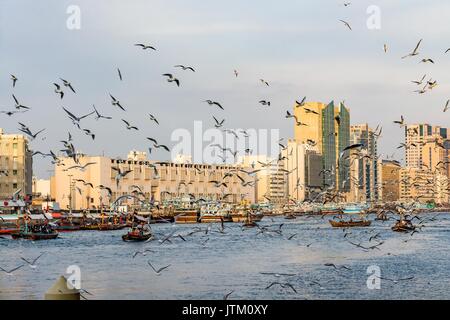 Vista del Dubai Creek con un sacco di gabbiani e barche abra al tramonto, Emirati Arabi Uniti, Emirati arabi uniti Foto Stock