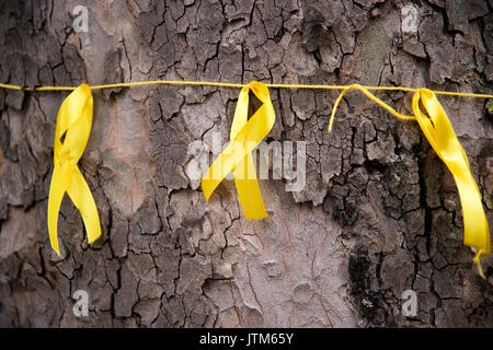 Grenfell Tower, West London. Conseguenze della tragedia. Nastri di colore giallo per onorare il mancante legato attorno ad un albero vicino alla bruciato torre. Foto Stock