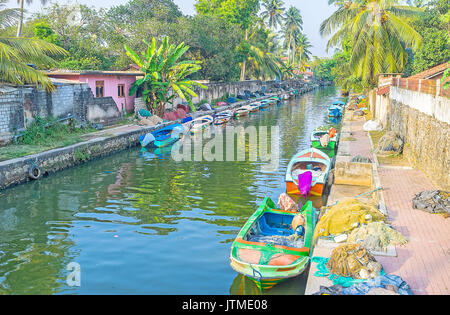 Le barche colorate sono ancorati lungo le rive di Hamilton il canale nel villaggio di pescatori del distretto di Negombo, Sri Lanka. Foto Stock