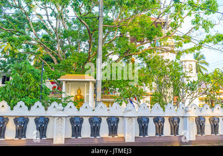 Il vecchio Bodhi Tree di Angurukaramulla tempio buddista (Bodhirajaramaya) con l'altare del Signore Buddha e scenic recinzione, decorata con elefanti nero Foto Stock