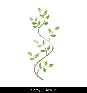 Ornamento naturale con verde edera su sfondo bianco Illustrazione Vettoriale