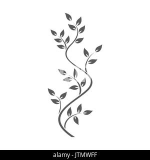 Ornamento naturale con ivy su sfondo bianco Illustrazione Vettoriale