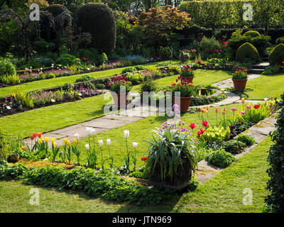 Chenies Manor sunken garden a tulip time. Vista del paesaggio di un grazioso giardino nel sole di primavera; stagno ornamentale, percorsi con colorati petali retroilluminato. Foto Stock