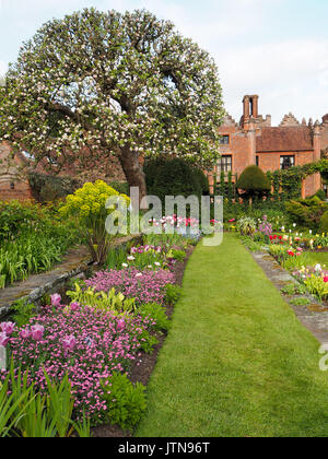 Visualizzazione verticale di Chenies Manor e affondata giardino in primavera con percorsi di erba, tulipani e albero della mela in bel tempo. Foto Stock