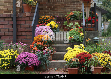 Modo per l'ingresso principale di scale di casa elegante decorato da coloratissimi fiori in vaso per vacanze autunnali stagione. Foto Stock