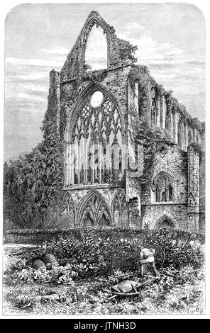 1870: Giardinaggio in una cucina giardino esterno a Tintern Abbey. Essa è stata fondata il 9 maggio 1131, ed è situato in posizione adiacente al villaggio di Tintern sul Welsh banca del fiume Wye, che forma il confine tra Monmouthshire in Galles e Gloucestershire in Inghilterra. Fu solo la seconda fondazione cistercense in Gran Bretagna e la prima in Galles. Cade in rovina dopo la dissoluzione dei monasteri nel XVI secolo, i resti sono stati celebrati in poesia e spesso dipinto da visitatori dal XVIII secolo in poi.Monmouthshire, Wales, Regno Unito. Foto Stock