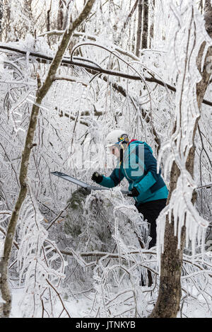 Un team di ricercatori la replica di una tempesta di ghiaccio durante l'inverno nelle White Mountains del New Hampshire. Il team sta studiando gli effetti delle tempeste di ghiaccio sul terreno, gli alberi, uccelli ed insetti. Foto Stock