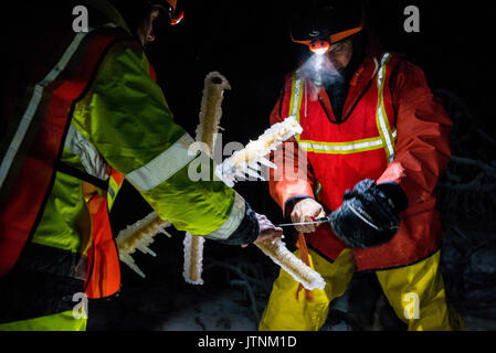 Un team di ricercatori la replica di una tempesta di ghiaccio durante l'inverno nelle White Mountains del New Hampshire. Il team sta studiando gli effetti delle tempeste di ghiaccio sul terreno, gli alberi, uccelli ed insetti. Foto Stock