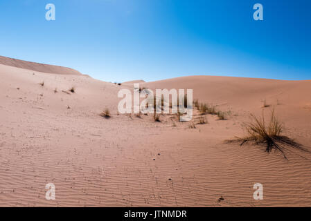 Dune di sabbia, Sahara Foto Stock