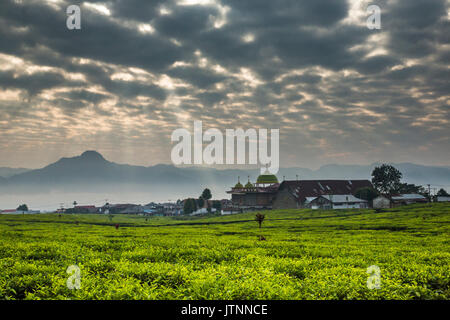 Flussi di luce solare attraverso la tasca nuvole al di sopra di un vasto campo di tè con una piccola città e la moschea e monti all'orizzonte. Valle di Kerinci, Sumatra, Indonesia Foto Stock