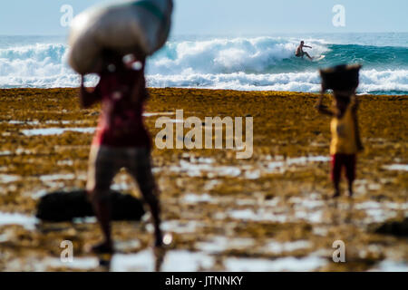 Surfer wave riding in background e persone che trasportano i sacchi in primo piano, Lakey Peak, central Sumbawa, Indonesia Foto Stock