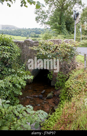 Ponte sul piccolo ruscello camuffati terra di confine tra Irlanda del Nord e della Repubblica di Irlanda Foto Stock