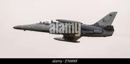 L-159 ALCA, Czech Air Force Foto Stock