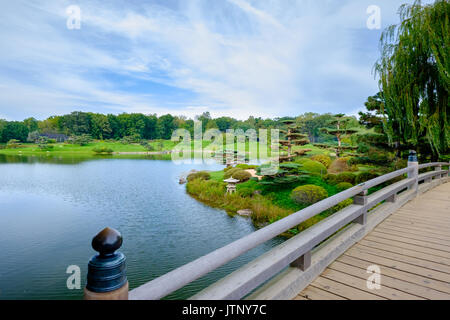 Giardino giapponese da bridge Foto Stock