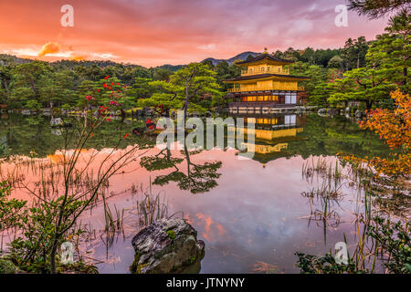 Kinkakuji tempio di Kyoto, Giappone. Foto Stock