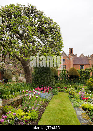 Visualizzazione verticale di Chenies Manor House e giardino sommerso in primavera; melo in fiore e prato con i tulipani frontiere, trellis topiaria da e. Foto Stock