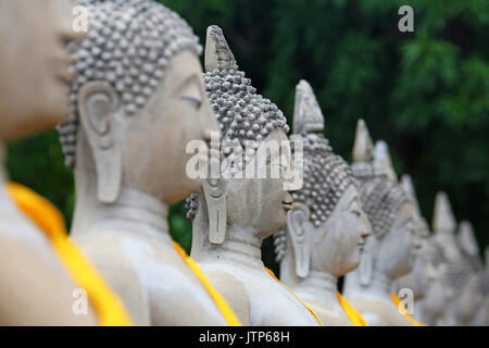 Fila di statue di Buddha di Wat Yai Chaimongkol tempio, Ayutthaya, Thailandia Foto Stock