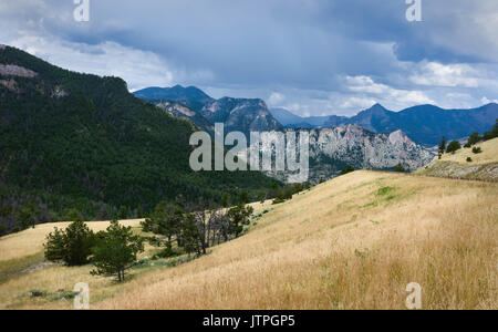 Montagne rocciose con foreste di pini e prati come visto dal dente di Bear Mountain Pass autostrada vicino Red Lodge, Montana, USA. Foto Stock