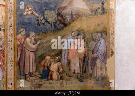 Il Vecchio Testamento affreschi di Simone dei Crocifissi, dalla Chiesa di S. Apollonia Mezzaratta, 1366, Galleria Nazionale di Arte Moderna di Bologna, Pinacoteca Nazionale Foto Stock