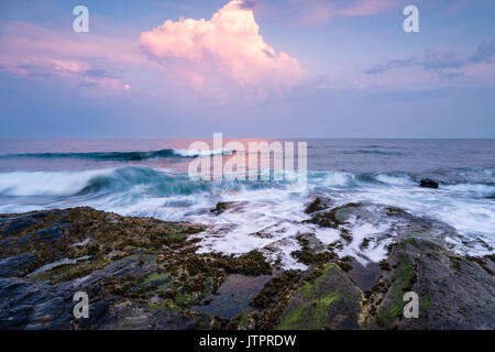 Marea a coda di castoro, Punto di Jamestown, Rhode Island Foto Stock