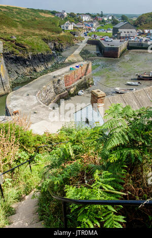 Il Pembrokeshire Coast Path scende giù nel porto Porthgain, Portgain, Pembrokeshire, Galles Foto Stock