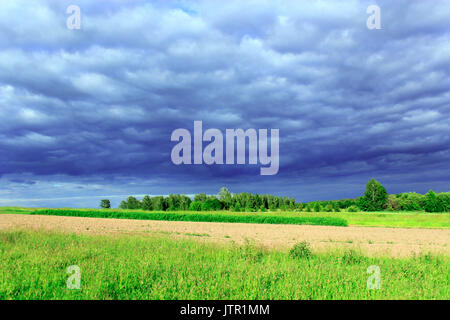 Paesaggio con thundercloud scure nuvole sotto la foresta e la terra. Il cielo prima pioggia Foto Stock