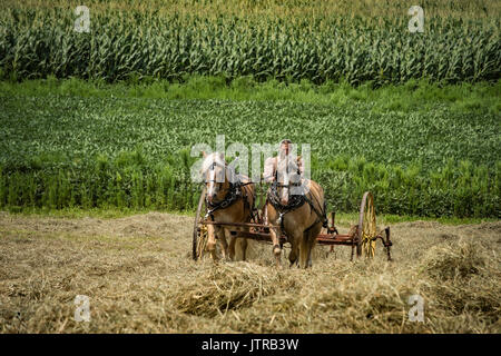 Il raccolto, la trebbiatrice giorni, visualizza e la ricreazione di antiche attrezzature agricole e tecniche in Lancaster County. Foto Stock