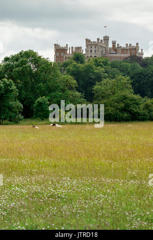 Belvoir Castle la casa del Duca e Duchessa di rutland come vista attraverso i campi da woolsthorpe. Il castello domina la valle di belvoir Foto Stock